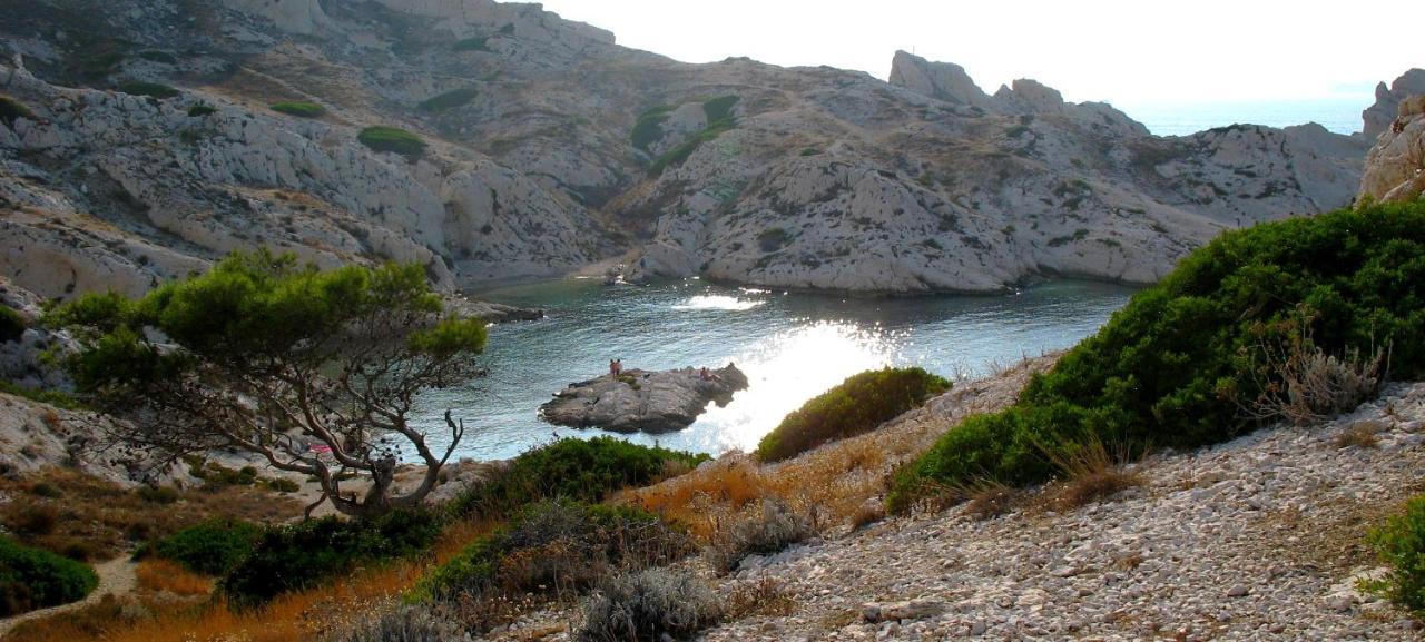 Les Pieds Dans L'Eau Sur L'Ile Du Frioul Leilighet Marseille Eksteriør bilde